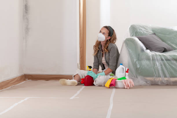 Reliable Mold Cleanup contractor in Fredericksburg, TX by Cheap Mold Removal